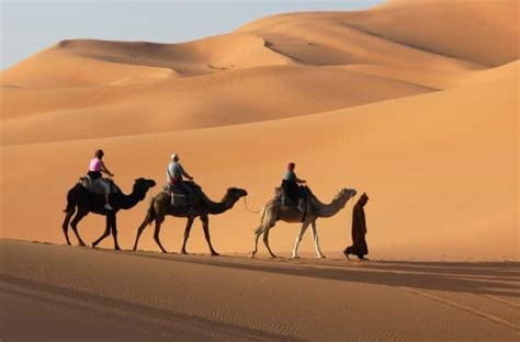 Visiter le désert du Sahara à dos de Méhari : réservation & tarifs